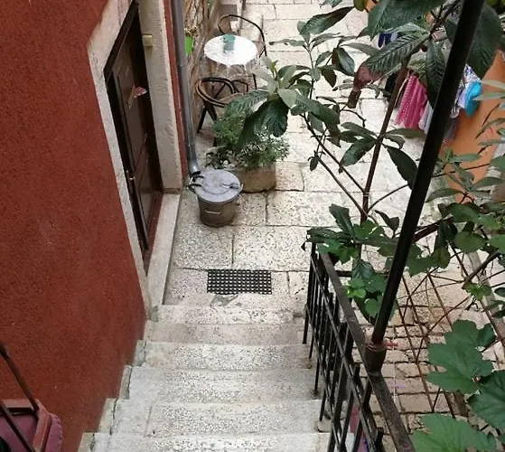 Million Dollar View Ρόβινι