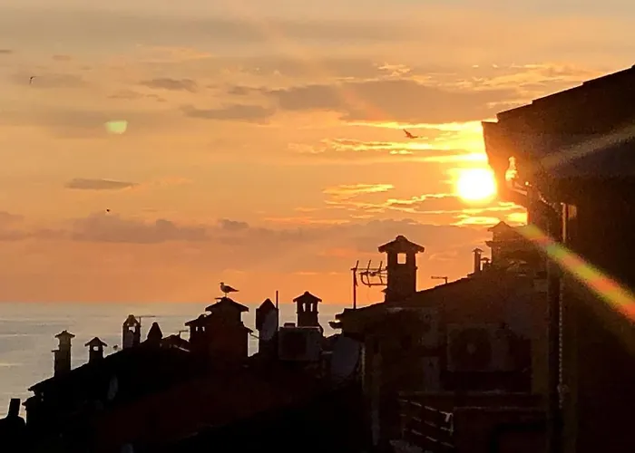 Million Dollar View Ρόβινι